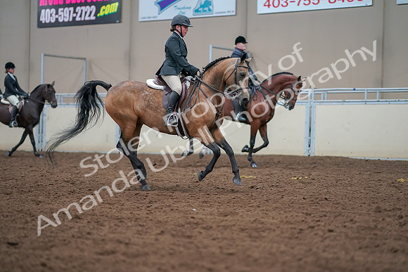2019 Morgan Horse Show - Aug 30, 2019 - 21057