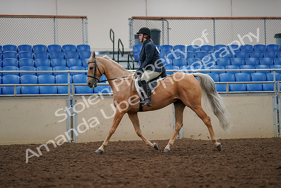 2019 Morgan Horse Show - Aug 30, 2019 - 22287