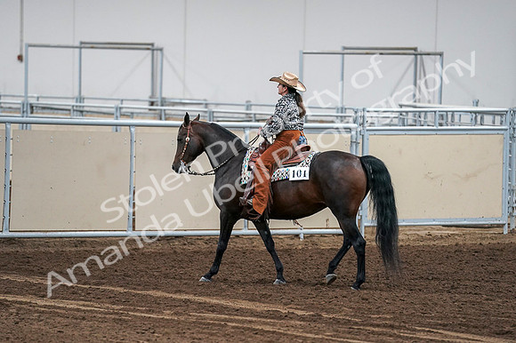 2020 - AB Morgan Horse - Fri, Sept 04 - 00454