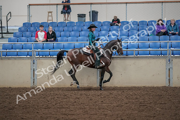 2019 Morgan Horse Show - Aug 30, 2019 - 26182