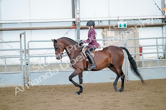 July 21, 2019 - 03259