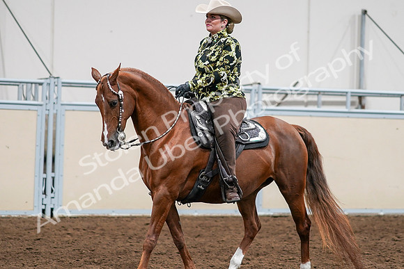 2020 - AB Morgan Horse - Sat, Sept 05 - 08995