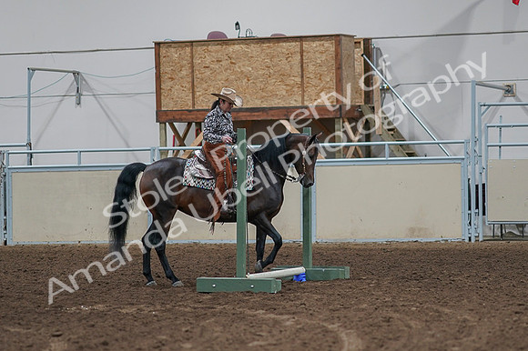 2020 - AB Morgan Horse - Fri, Sept 04 - 00350
