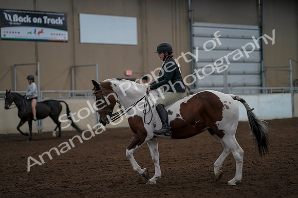 2019 Morgan Horse Show - Aug 30, 2019 - 31161