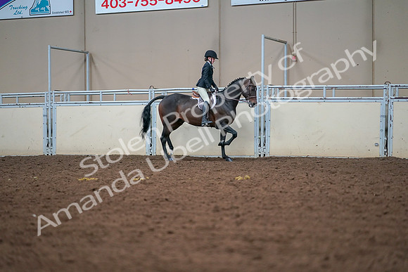 2019 Morgan Horse Show - Aug 30, 2019 - 20880