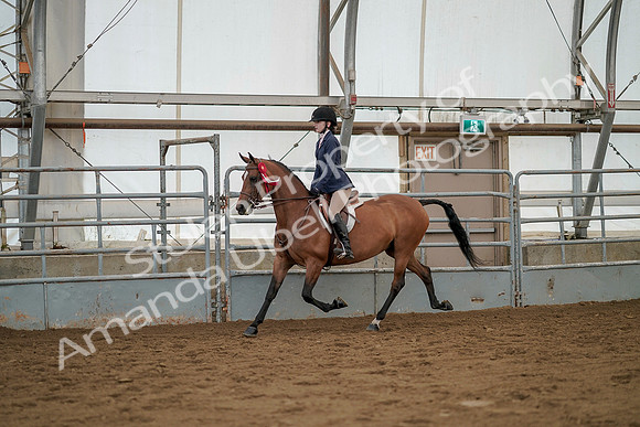July 20, 2019 - 03499