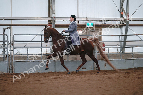 July 20, 2019 - 17075