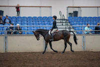 2019 Morgan Horse Show - Aug 31, 2019 - 08043