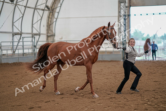 July 19, 2019 - 876