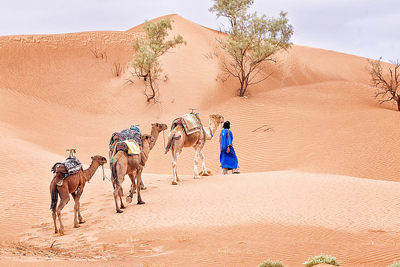 Morocco - 106