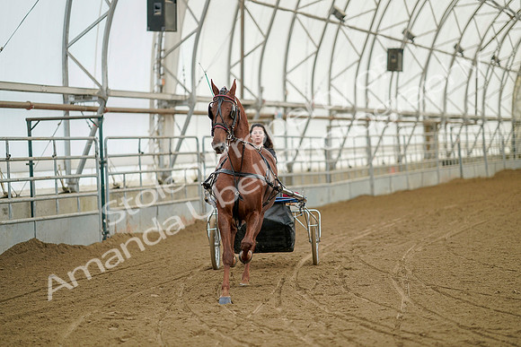 July 20, 2019 - 04929