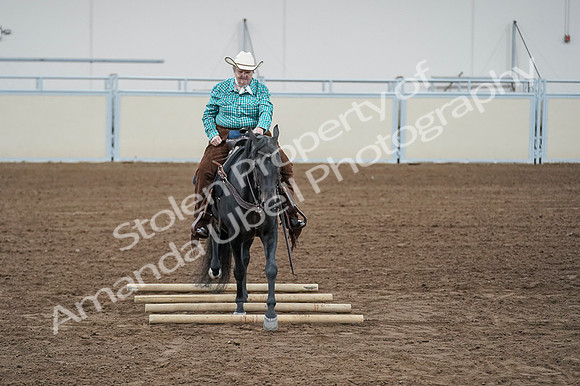 2020 - AB Morgan Horse - Fri, Sept 04 - 00641
