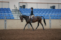 2019 Morgan Horse Show - Aug 31, 2019 - 06310
