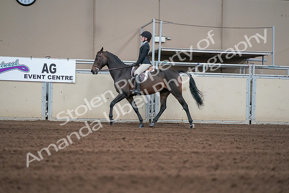 2019 Morgan Horse Show - Sept 01, 2019 - 03677
