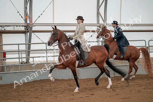 July 20, 2019 - 02134