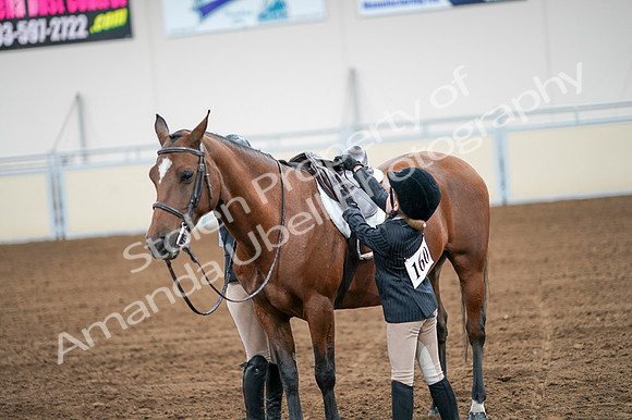 2020 - AB Morgan Horse - Fri, Sept 04 - 02084