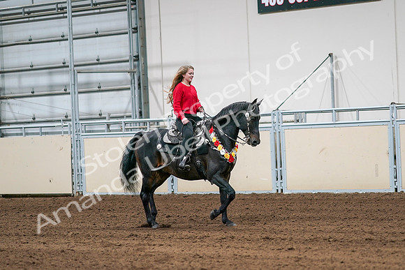 2020 - AB Morgan Horse - Sat, Sept 05 - 10464