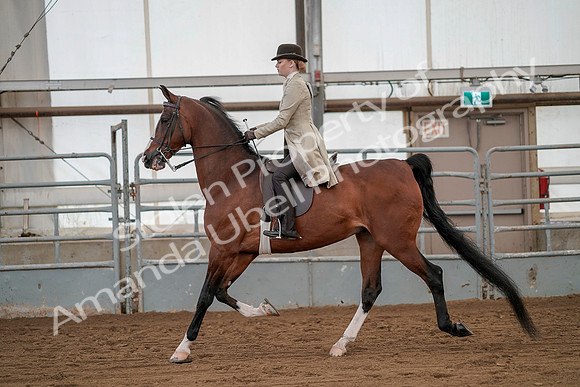 July 20, 2019 - 02156