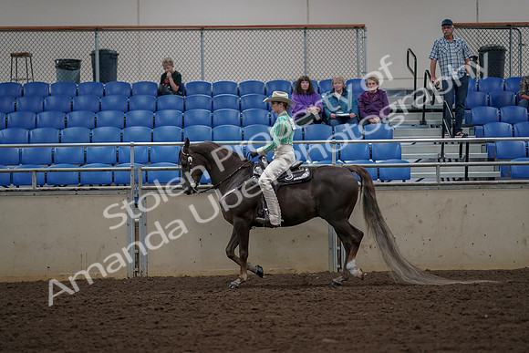 2019 Morgan Horse Show - Aug 30, 2019 - 25950