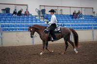 2019 Morgan Horse Show - Aug 31, 2019 - 14105