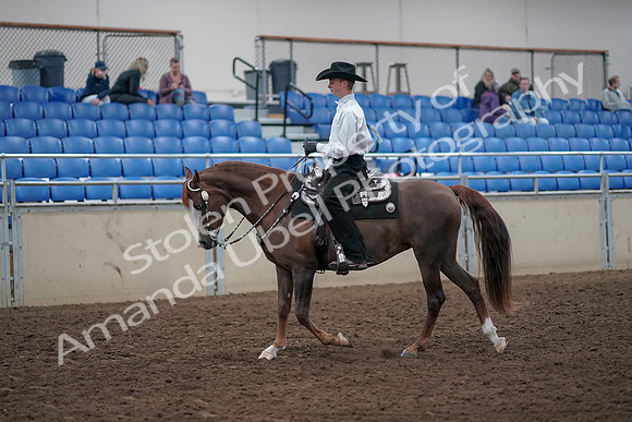 2019 Morgan Horse Show - Aug 31, 2019 - 14105