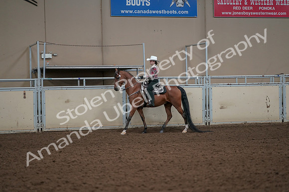 2019 Morgan Horse Show - Aug 30, 2019 - 25979