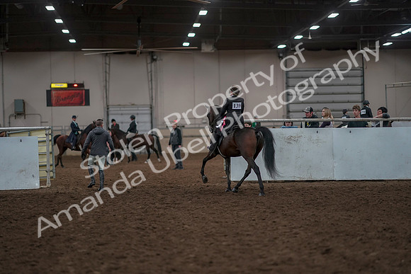 2019 Morgan Horse Show - Aug 30, 2019 - 28354