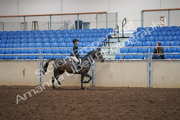 2019 Morgan Horse Show - Aug 30, 2019 - 12422