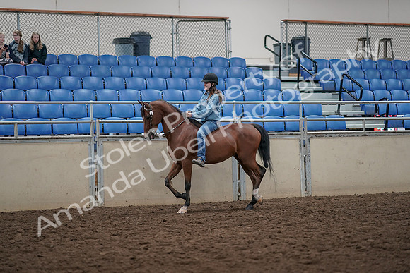 2019 Morgan Horse Show - Aug 30, 2019 - 31091