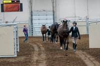 2020 - AB Morgan Horse - Fri, Sept 04 - 00726