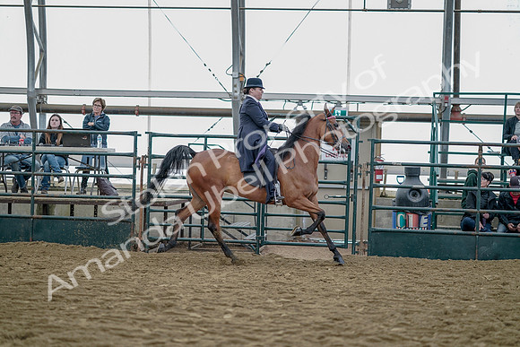 July 20, 2019 - 13953