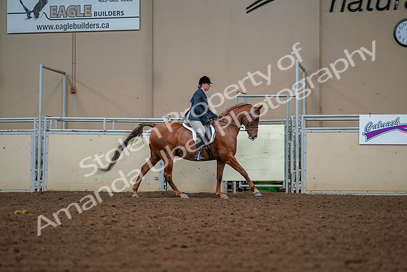 2019 Morgan Horse Show - Aug 30, 2019 - 22554