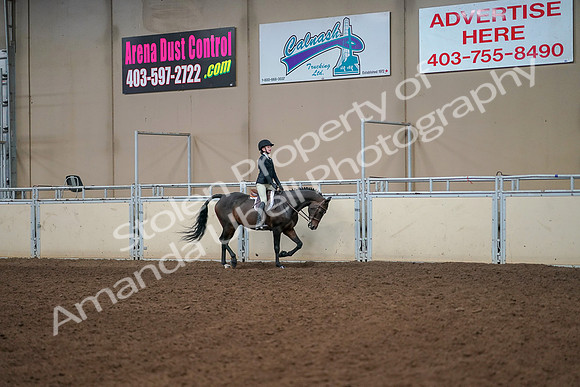 2019 Morgan Horse Show - Aug 30, 2019 - 12471