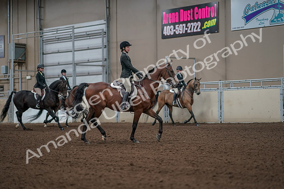 2019 Morgan Horse Show - Aug 31, 2019 - 05181