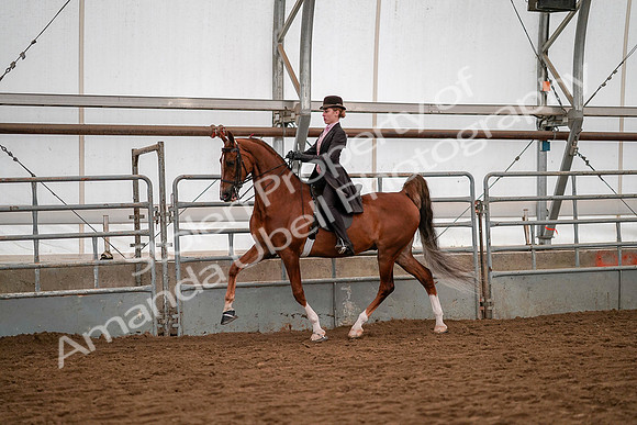 July 19, 2019 - 10329