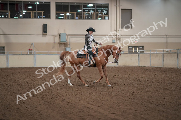 2019 Morgan Horse Show - Aug 30, 2019 - 26213