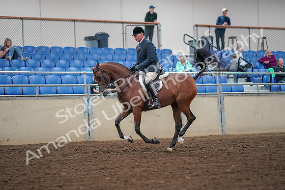 2019 Morgan Horse Show - Aug 30, 2019 - 16349
