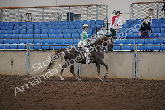 2019 Morgan Horse Show - Aug 30, 2019 - 26154
