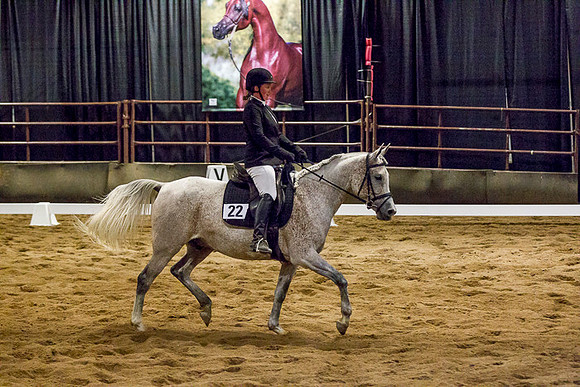 _P3A4299