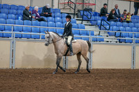 2020 - AB Morgan Horse - Sat, Sept 05 - 01185