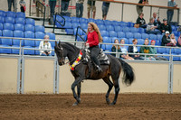 2020 - AB Morgan Horse - Sat, Sept 05 - 10358