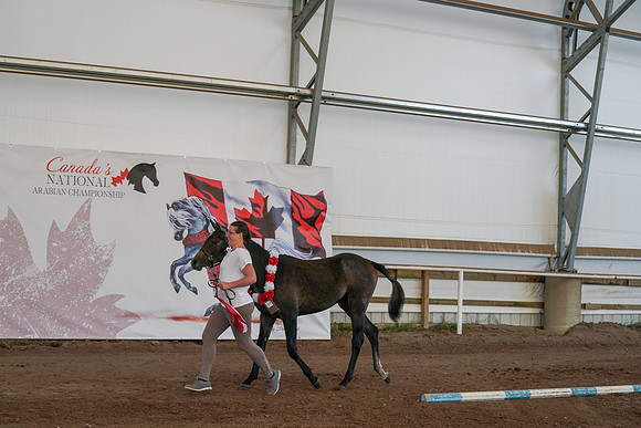 2022 - CNAC - Sept 27 - 01297