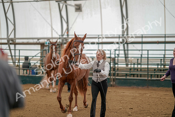 July 19, 2019 - 278