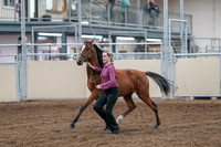 2020 - AB Morgan Horse - Fri, Sept 04 - 07593