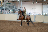 2020 - AB Morgan Horse - Sat, Sept 05 - 05268
