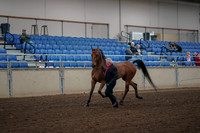 2019 Morgan Horse Show - Aug 31, 2019 - 00538