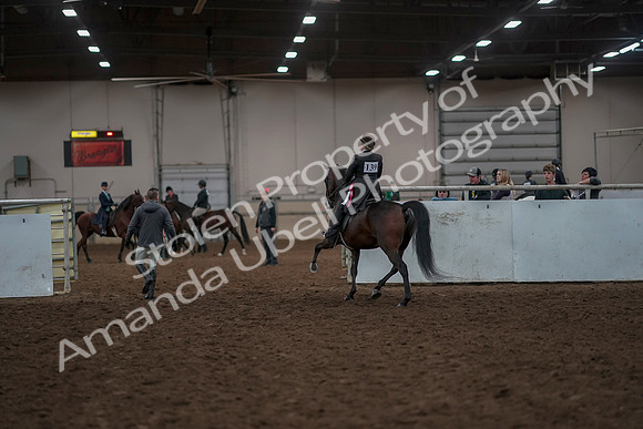 2019 Morgan Horse Show - Aug 30, 2019 - 28353