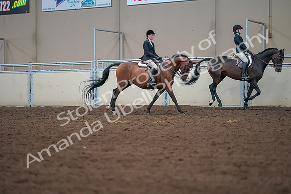 2019 Morgan Horse Show - Aug 30, 2019 - 20990