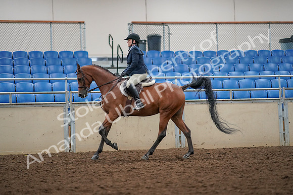 2019 Morgan Horse Show - Aug 30, 2019 - 22357