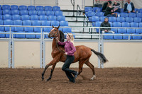 2020 - AB Morgan Horse - Sat, Sept 05 - 00546